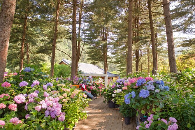 Day Trip to Nami Island with Rail bike and The Garden of Morning Calm - Who will enjoy this experience most