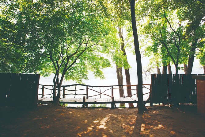 Day Trip to Nami Island with The Garden of Morning Calm - Which season makes the most sense?