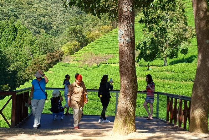 Discover Western Korea in 4days: All-Inclusive Experience - Food, hotels, and guide service
