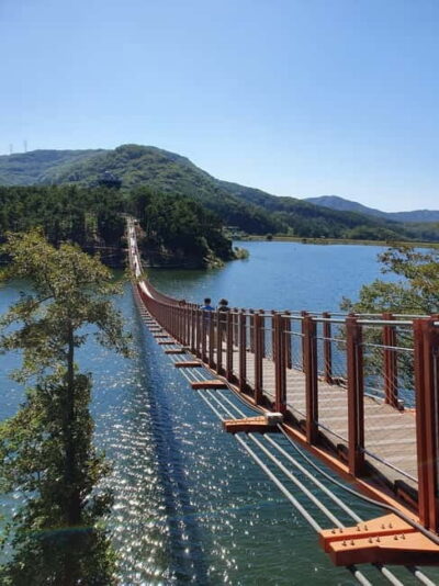 Signature DMZ Tour: Exclusive Defector Talk & Suspension Bridge