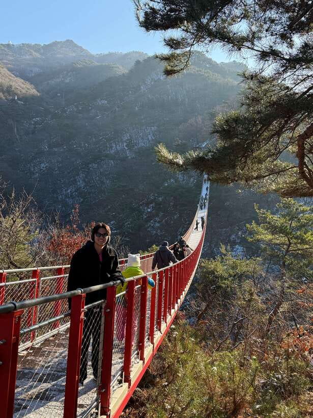 DMZ; NK Defector, 3rd Tunnel, Suspension Bridge,Hotel pickup - Looking across North Korea from Dora Observatory