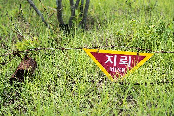 DMZ One Day Tour in Gyeonggi-do with English or Spanish - Practical advice for making the day work