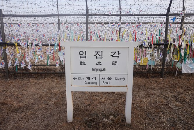 DMZ Past and Present: Korean Demilitarized Zone Tour from Seoul - Dora Observatory: looking into North Korea