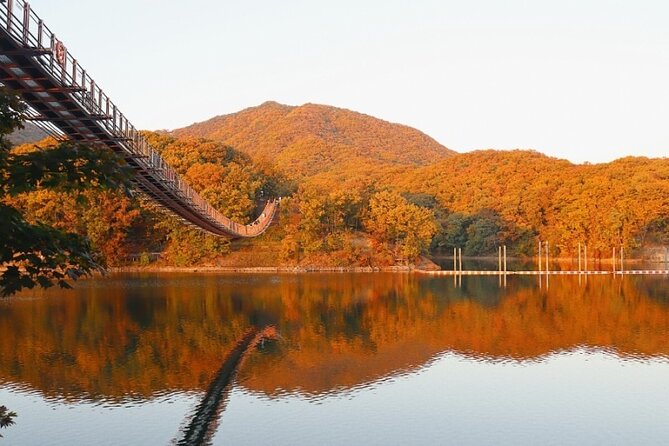 DMZ Private Tour: 3rd Tunnel, Option(Suspension Bridge, Boat) - What the guide adds to the day