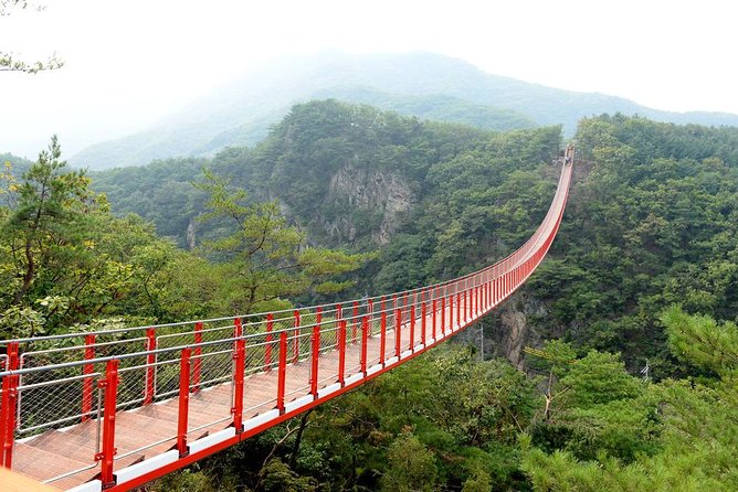 DMZ Tour: 3rd Tunnel, Option(Suspension Bridge, Boat) from Seoul - Dora Observatory: looking across the border