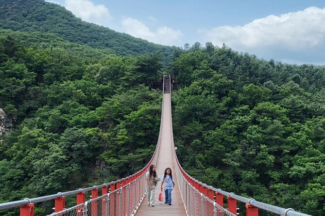 DMZ Tour Seoul to North Korea's 3rd Tunnel & Majang Lake Crossing - Dora Observatory and the view into North Korea