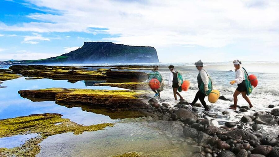 East Jeju: Day Tour with Seongsan Peak & Haenyeo Performance - The Haenyeo performance connects sea and culture