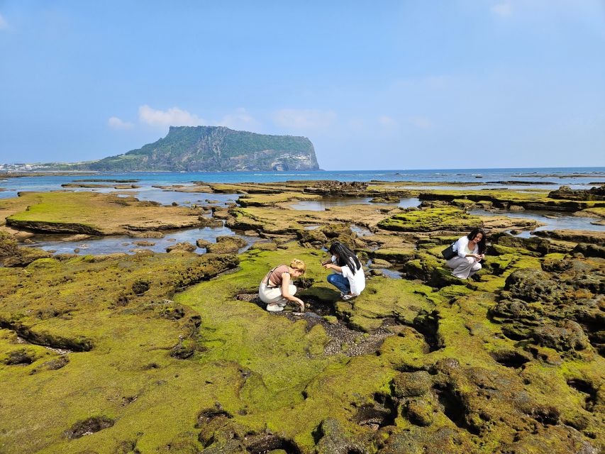 East Jeju: Day Tour with Seongsan Peak & Haenyeo Performance - Hamdeok Beach provides a gentler final stop