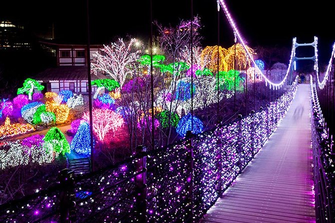 Easy private tour to Nami Island, Garden of Morning Calm - What the guiding style means in practice