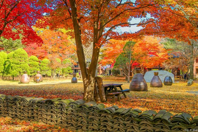 Easy private tour to Nami Island, Garden of Morning Calm - The Garden of Morning Calm in one hour