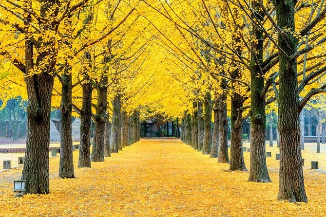 Easy private tour to Nami Island, Garden of Morning Calm - The 70-minute ride to Nami Island