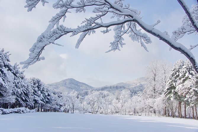 Elysian Gangchon Winter Ski with Nami Island Day Tour from Seoul - What is not included in the advertised price