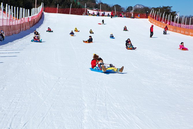 Elysian Gangchon Winter Ski with Nami Island Day Tour from Seoul - Is the pace physically demanding?