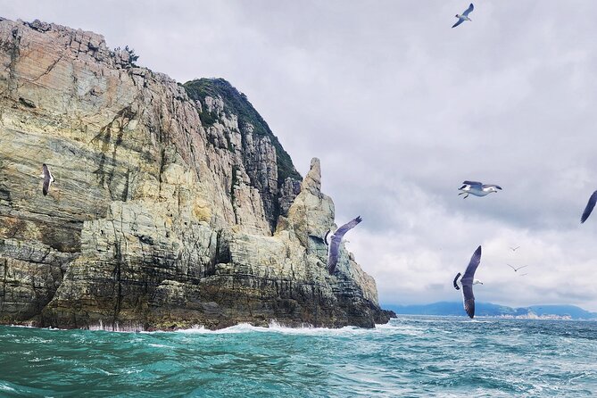 Enchanting Oedo Island Day Tour from Busan with Windy Hill - Geoje Panorama Cable Car and the best high view of the day