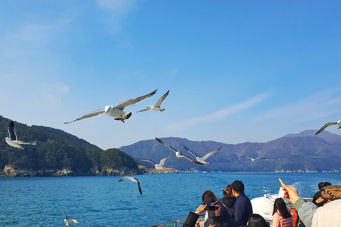 Enchanting Oedo Island Day Tour from Busan with Windy Hill - Lunch, local food, and what your $82.28 covers