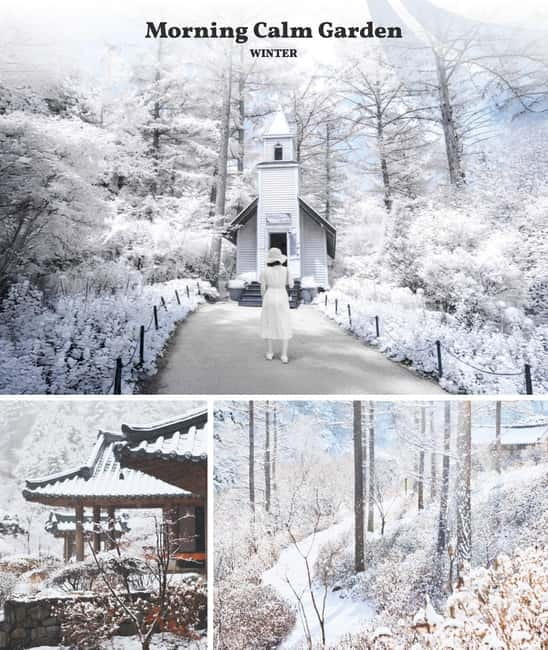 Eobi Ice Valley & Nami & Railbike & Petite & Morning Calm - The real cost of the $58 price