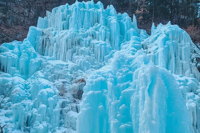Eobi Ice Wall & Nami Island & Morning Calm Light Festival - What the $74.33 price really covers