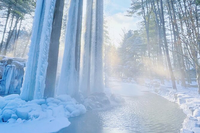 Eobi Ice Wall & Nami Island & Morning Calm Light Festival - Who will enjoy this tour most