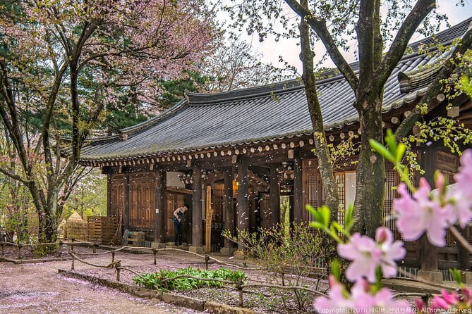 Eobi+Nami+Hanbok Tour with Rail Bike or Strawberry Option - The day at a glance