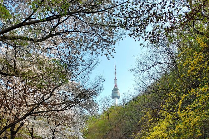 Essence of Seoul, 100% Private Full Day City Tour - Namdaemun Market: finish with everyday commerce