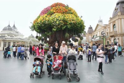 Everland Amusement Park with free-ride Ticket