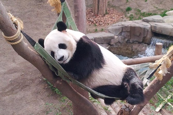 EVERLAND "From Hotel to Hotel" [Premium Private Tour: Only One Group for You] - Seasonal Festivals Change the Feel