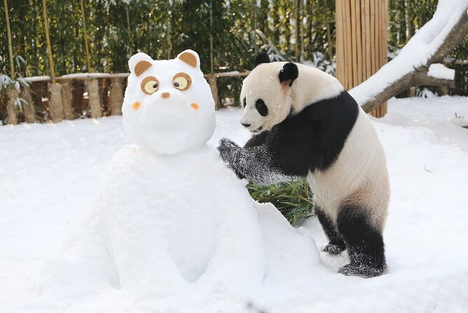 Everland Theme Park Admission Ticket with Transfer from Seoul - What makes Everland different