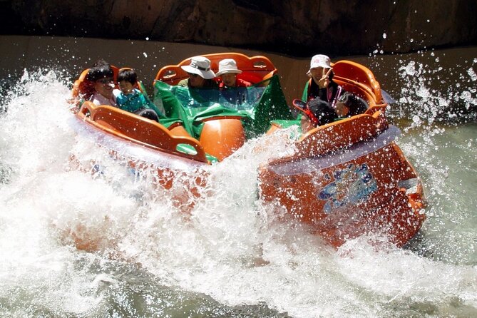 Everland Theme Park Admission Ticket with Transfer from Seoul - Who will enjoy this most?