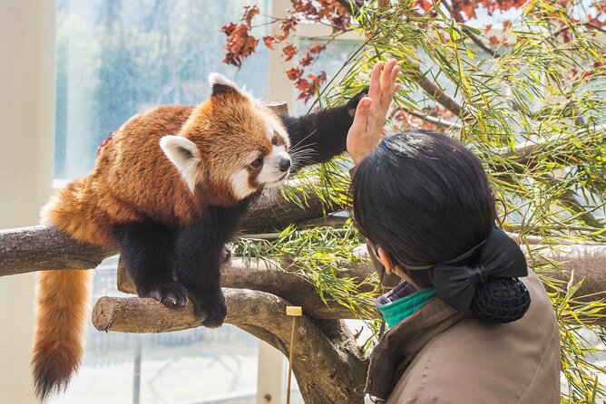 Everland Theme Park Admission Ticket with Transfer from Seoul - Your long day at Everland