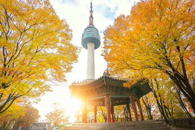 Flexible Private Guided Tour in Seoul (Optional Incheon Layover) - Starfield Library: Seoul’s modern photo stop