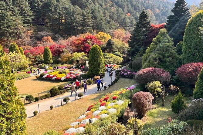 Four Seasons of Nami Island with Garden of Morning Calm Tour - Transport, timing, and group size