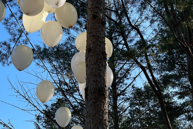 Four Seasons of Nami Island with Garden of Morning Calm Tour - Who will enjoy this tour most?