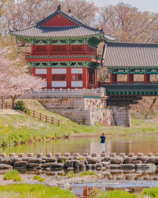From Busan: Busan & Gyeongju One Day Tour - Cheomseongdae and the Silla capital