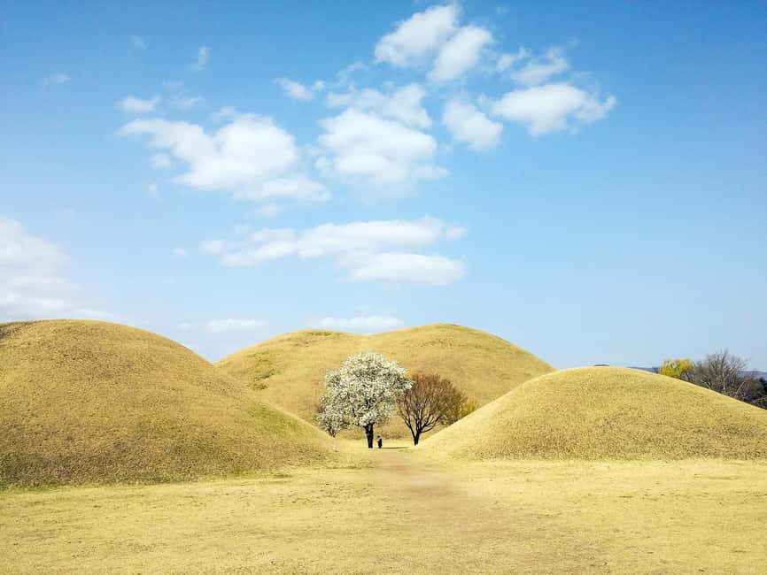 From Busan: Busan & Gyeongju One Day Tour - Cheongsapo and the Haeundae Blue Line scenery