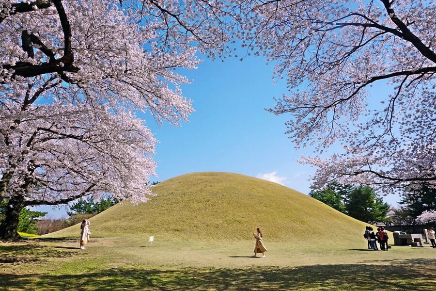 From Busan: Echoes of Silla Gyeongju Historical Day Tour - How the $64 price holds up