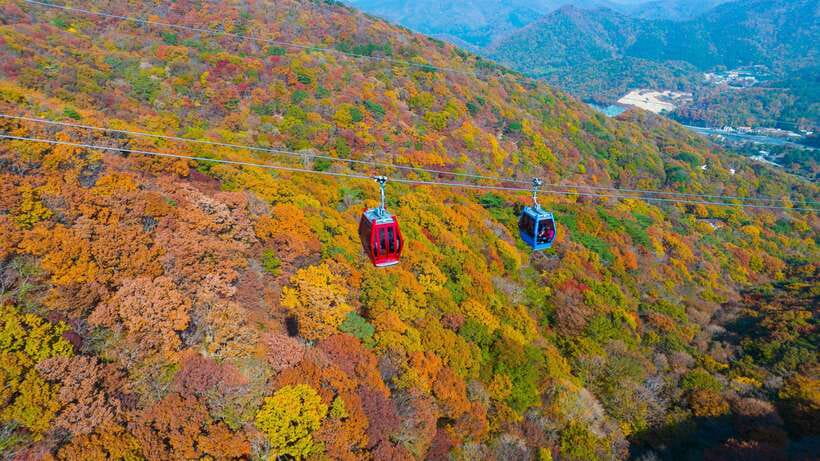 From Busan: Enchanting Oedo Island Day Tour with Windy Hill - Key points at a glance