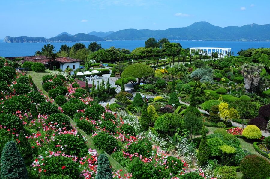 From Busan: Enchanting Oedo Island Day Tour with Windy Hill - Guide quality and group atmosphere