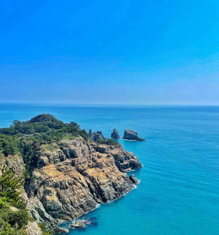 From Busan: Enchanting Oedo Island Day Tour with Windy Hill - Why this day trip works from Busan