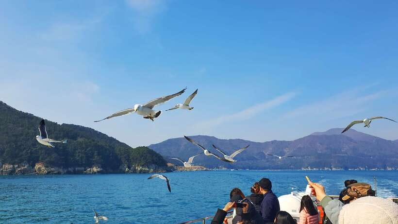 From Busan: Enchanting Oedo Island Day Tour with Windy Hill - Oedo-Botania and the Stairway to Heaven