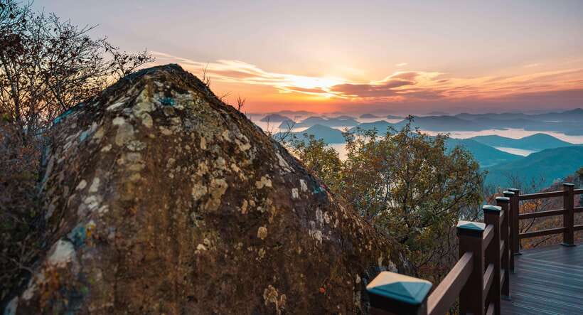From Busan: Enchanting Oedo Island Day Tour with Windy Hill - The long ride back to Busan