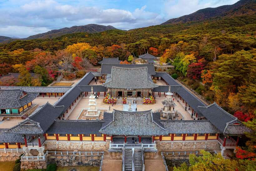 From Busan: Gyeongju Full-Day Historical Tour - Key points before you book