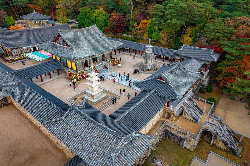 From Busan: Gyeongju Full-Day Historical Tour - Lunch and the practical rhythm of the day