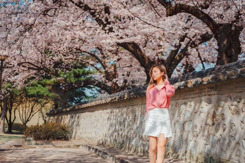 From Busan: Gyeongju Small Group Photo Tour & Hotel Pick-up - Daereungwon Tomb Complex and Gyeongju’s royal past
