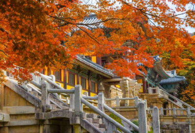 Gyeongju UNESCO World Heritage Guided Day Tour