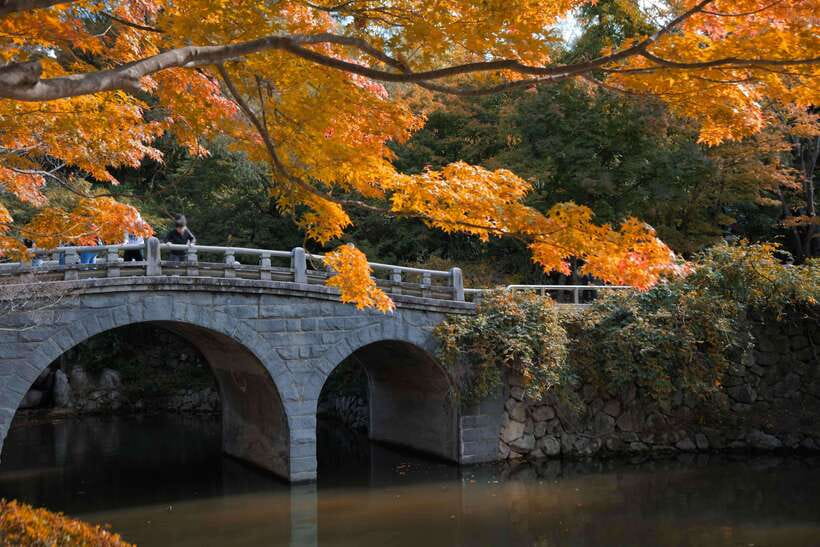 From Busan: Gyeongju UNESCO World Heritage Guided Day Tour - Daereungwon and the Silla royal tombs