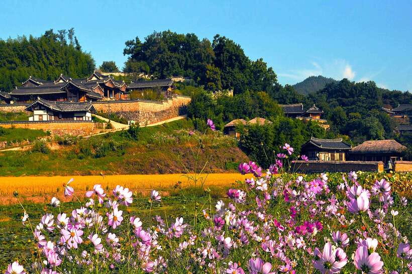 From Busan: Gyeongju UNESCO World Heritage Guided Day Tour - Hwangnidan Street: a modern break in the historic route