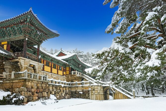 From Busan to Gyeongju UNESCO Legacy Tour with National Museum - Key points at a glance