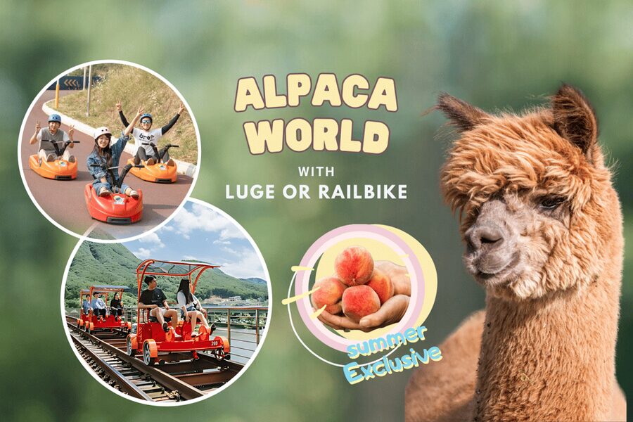 From Seoul: Full Day Trip to Alpaca Farm with Rail Bike - Who should book this experience?