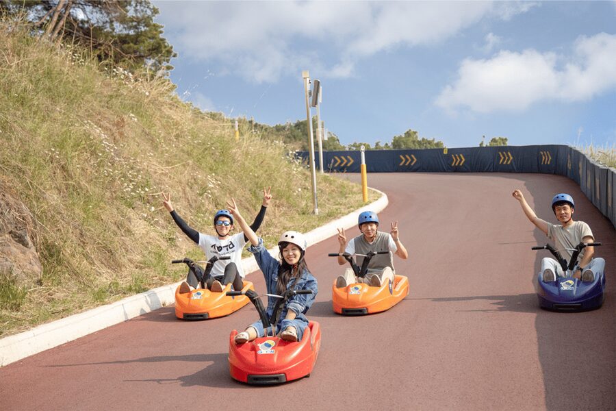 From Seoul: Full Day Trip to Alpaca Farm with Rail Bike - Luge World at Vivaldi Park: a sharper burst of fun