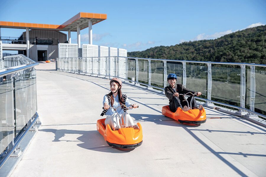 From Seoul: Full Day Trip to Alpaca Farm with Rail Bike - Alpaca World: more than a photo with a fluffy animal